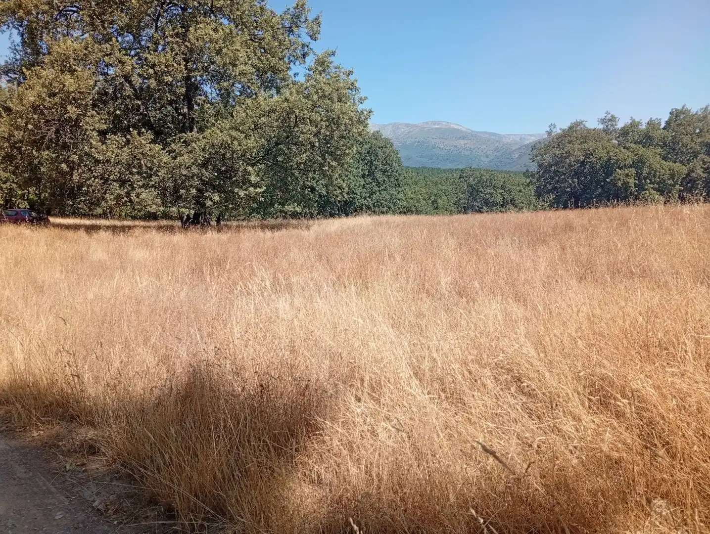 Terreni e lotti in vendita a Villanueva de la Vera, imagen 66