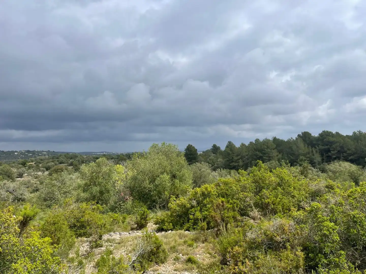 Maison rustique à vendre à LAS POLAS, imagen 3