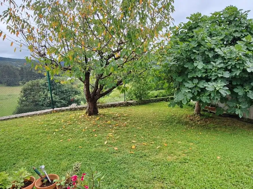 Jardín de Casa o chalet en venta en Polanco con Balcón