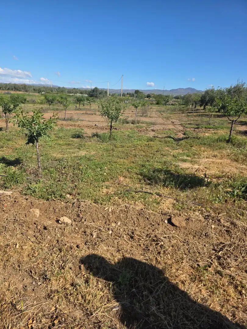 Detached house with garden for sale in Huércal-Overa, imagen 11