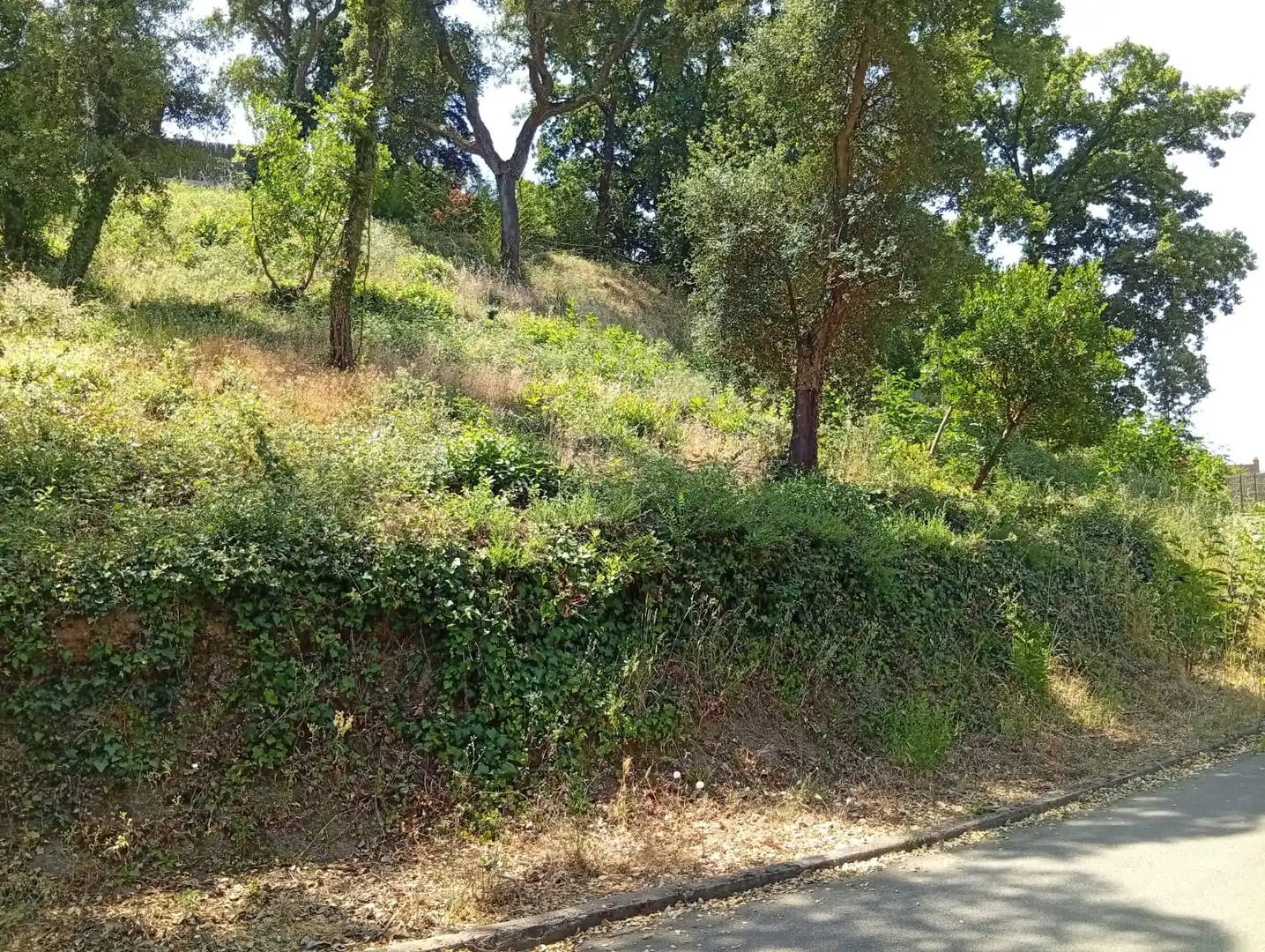 Residential for sale in Vallgorguina