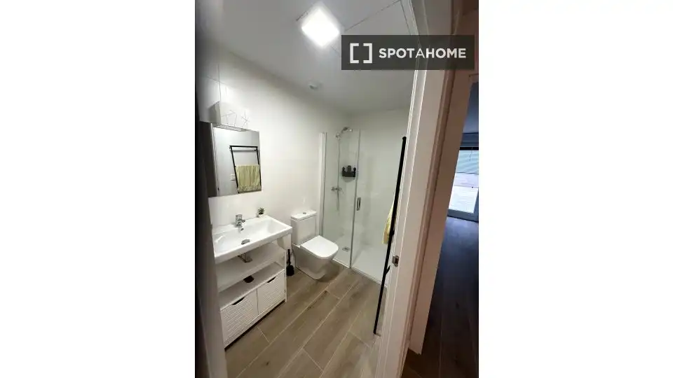 Baño de Apartamento para compartir en Pasaia con Aire acondicionado, Terraza y Amueblado