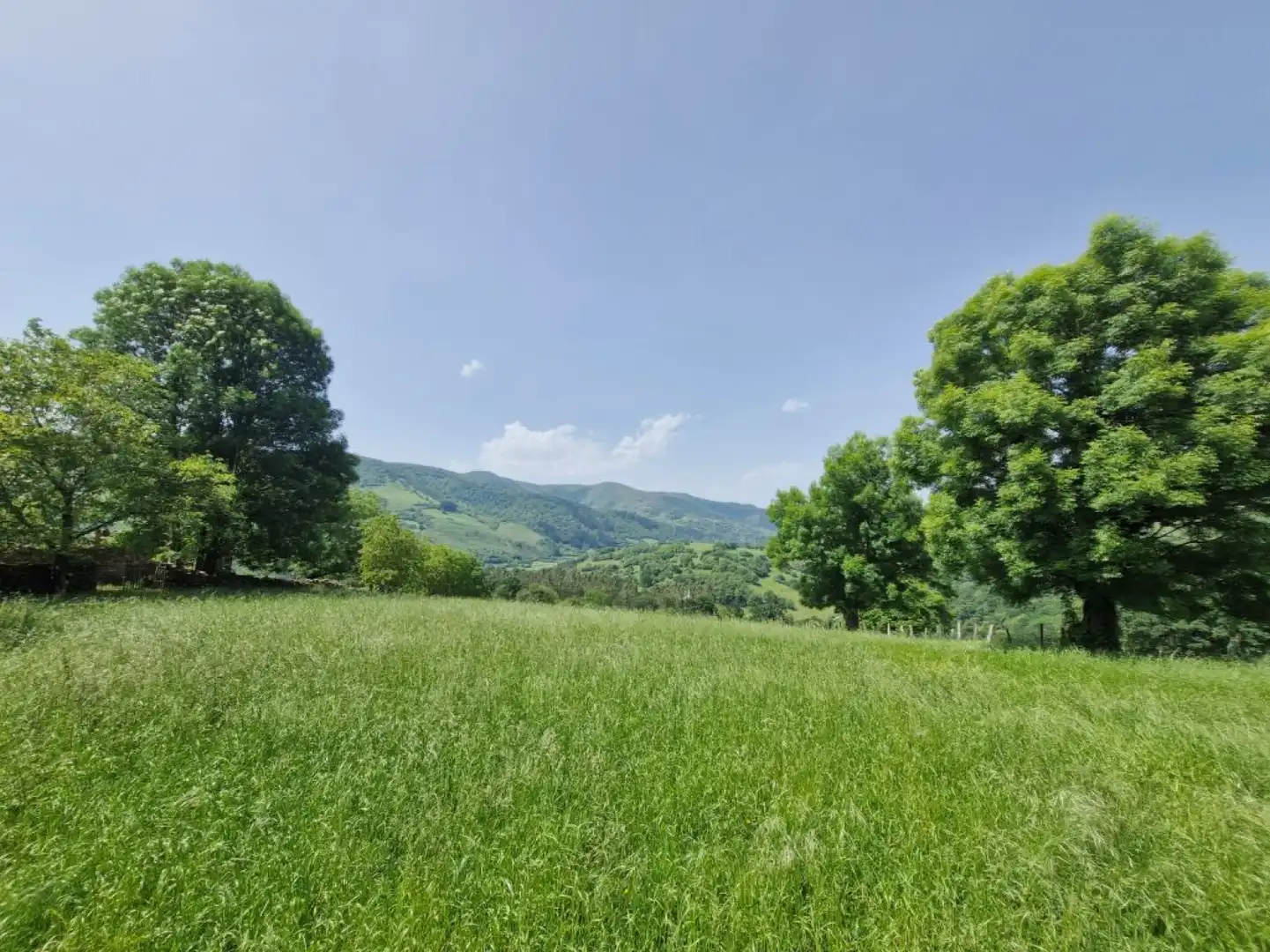 Casa o chalet en venta en Cieza (Cantabria) con Jardín privado