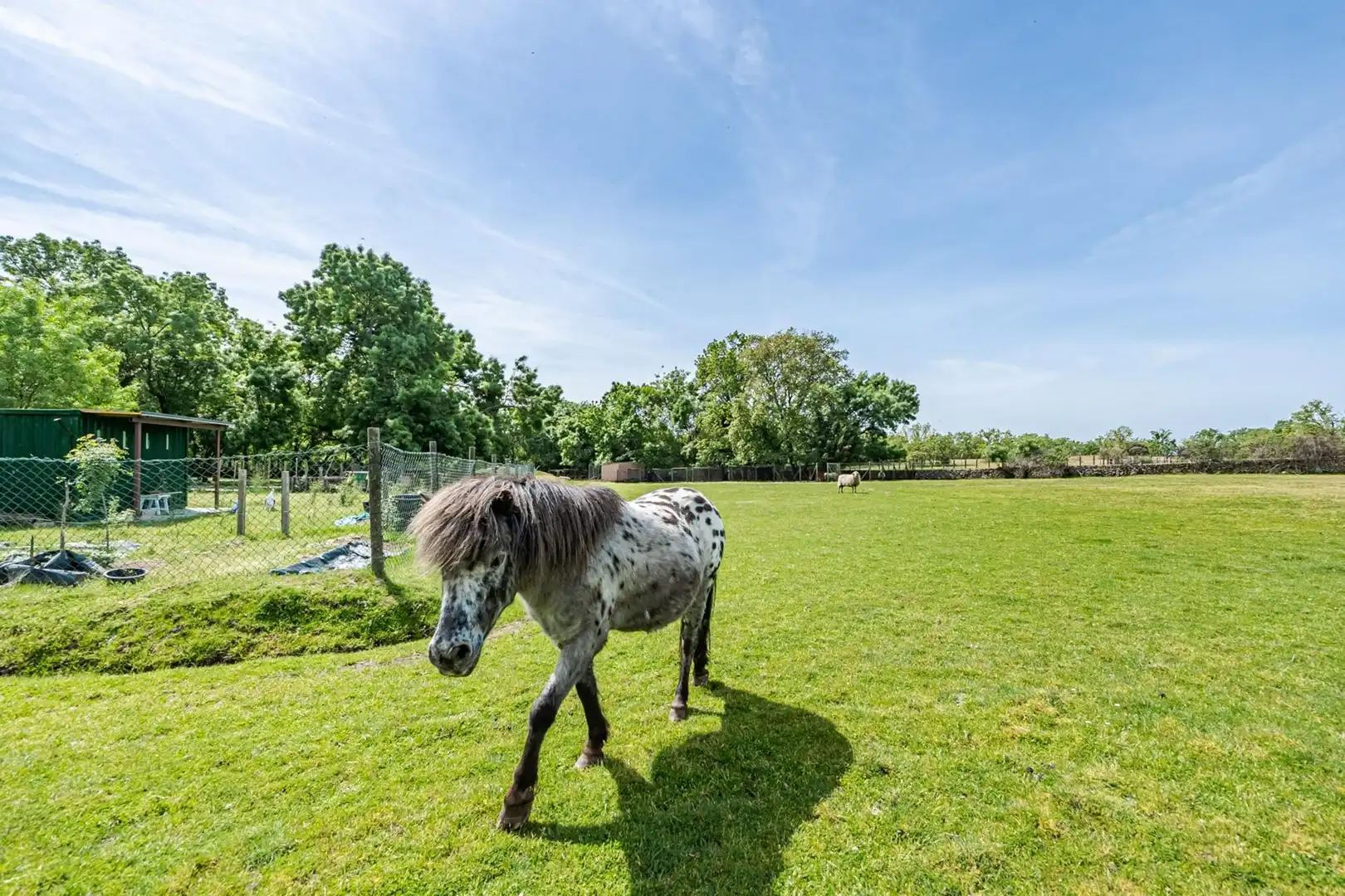 Maison rustique avec terrasse à vendre à Miraflores de la Sierra, imagen 70
