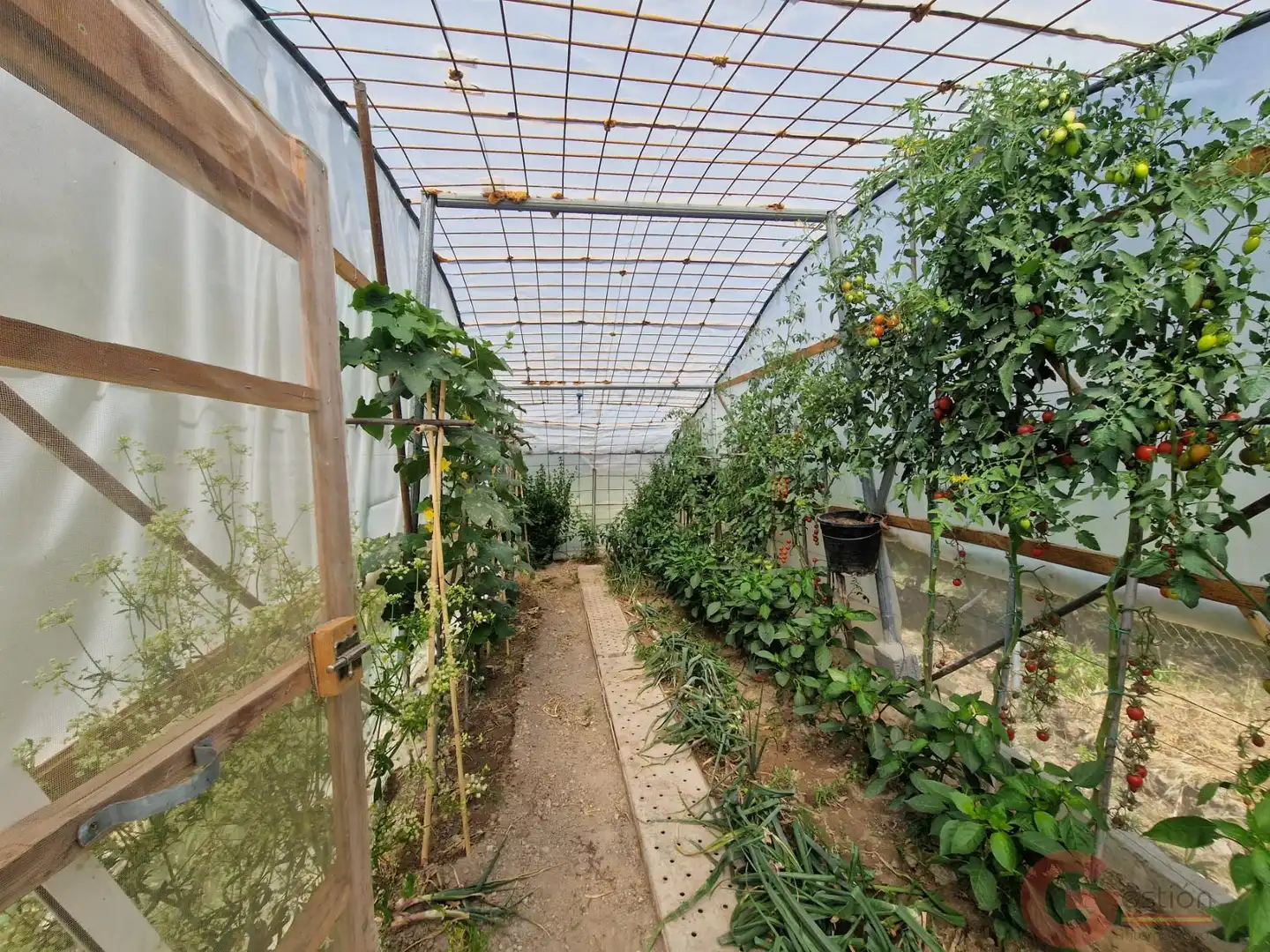 Garten von Country house zum Verkauf in El Pinar mit Terrasse und Schwimmbad