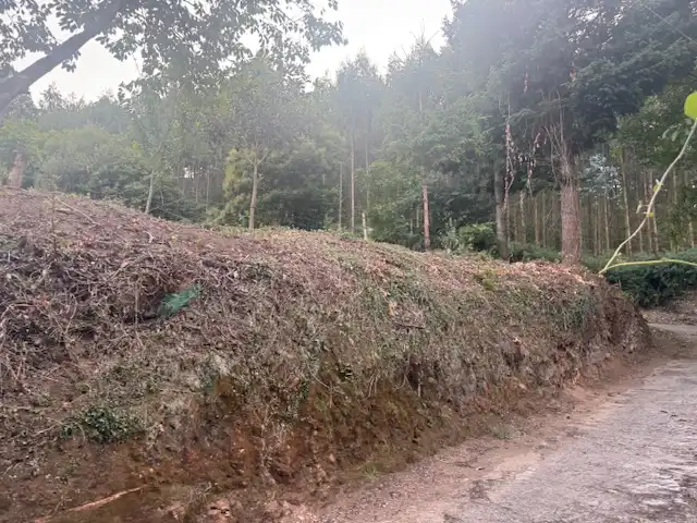 Country homes for sale in San Tirso de Abres