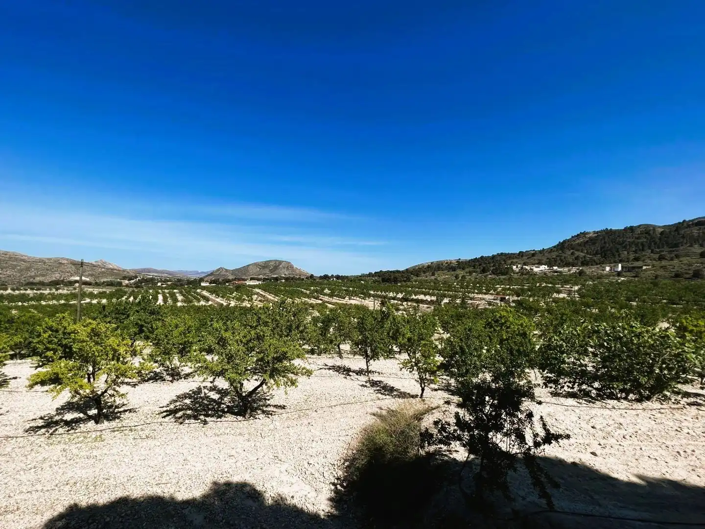 Finca rústica en venta en Monóvar  / Monòver con Aire acondicionado, Calefacción y Jardín privado