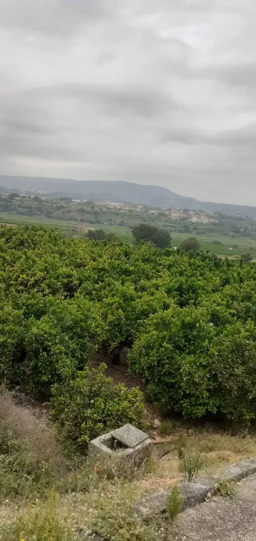 Terreno en venta en Xàtiva