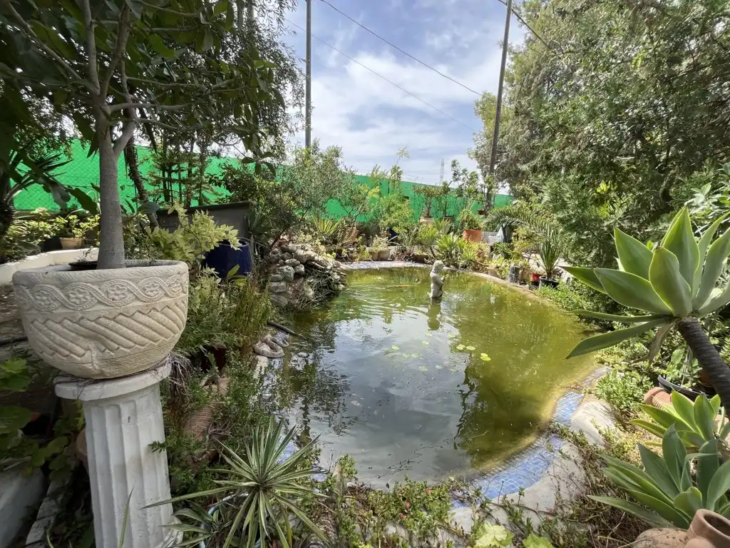 Casa rústica amb piscina en venda a El Fenazar - Campotéjar, imagen 4