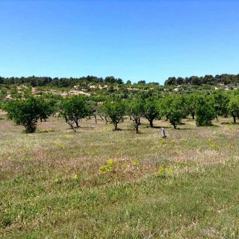 Terreni e lotti in vendita a Arens de Lledó, imagen 4