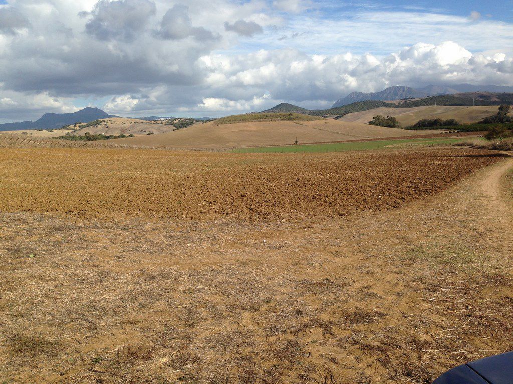 Finca rústica en venta en Jimena de la Frontera
