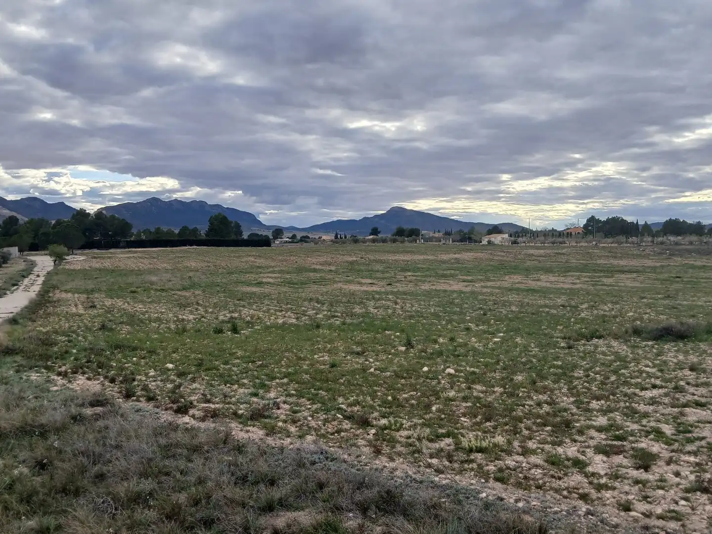 Residential land for sale in Yecla, imagen 3