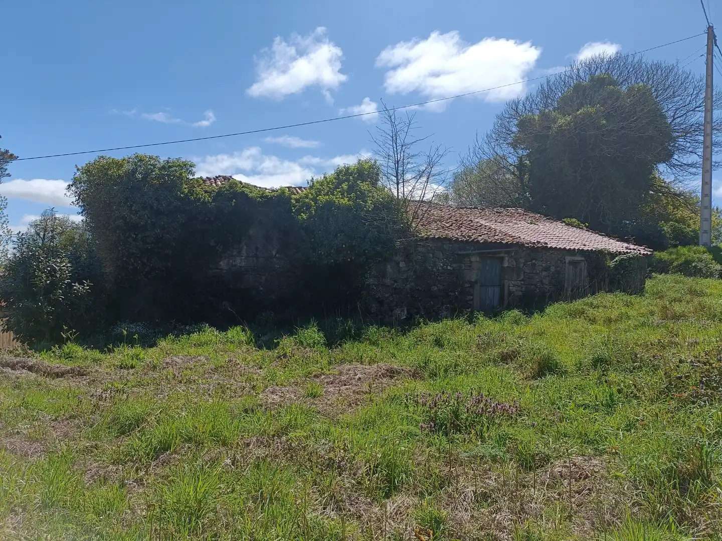 Casa con jardín en venta en Curtis, imagen 20