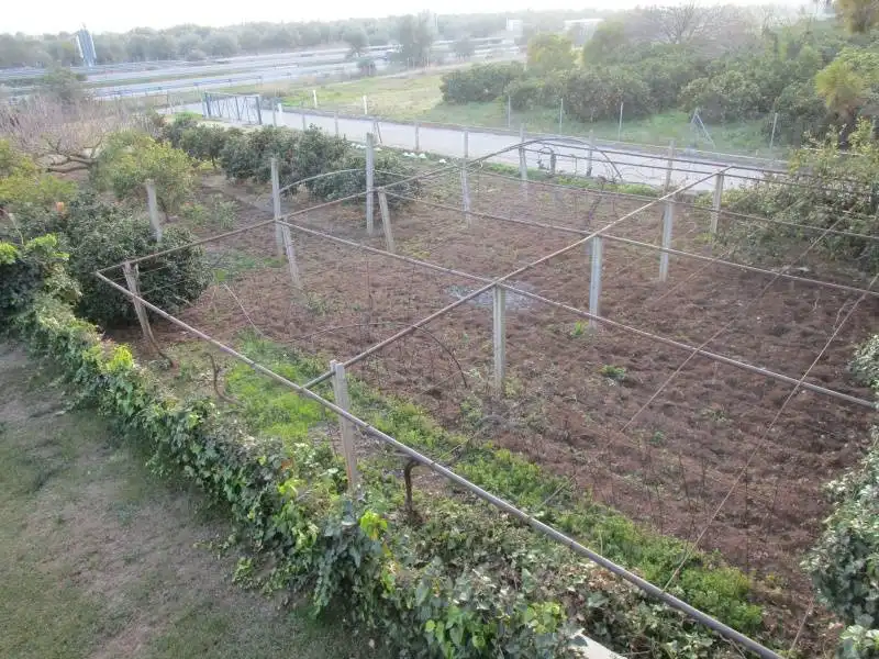 Casa o xalet en venda en L'Aldea amb Aire condicionat, Jardí privat i Terrassa