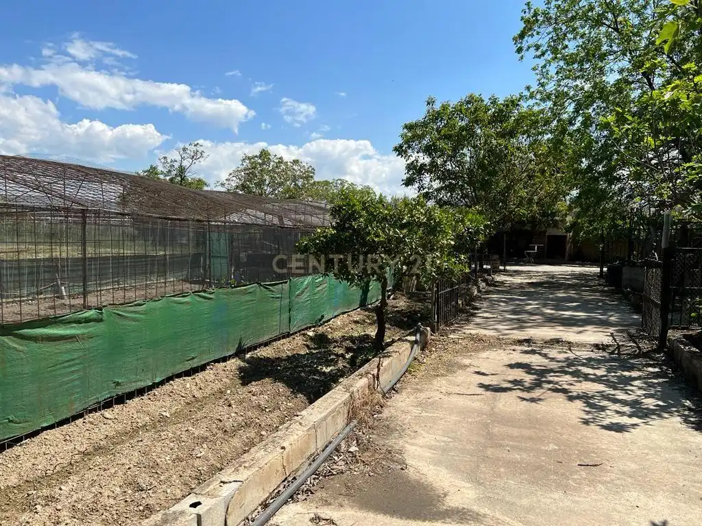 Terreno rústico en venta en COMPUERTA DEL HORNO POLIGONO 1, imagen 13