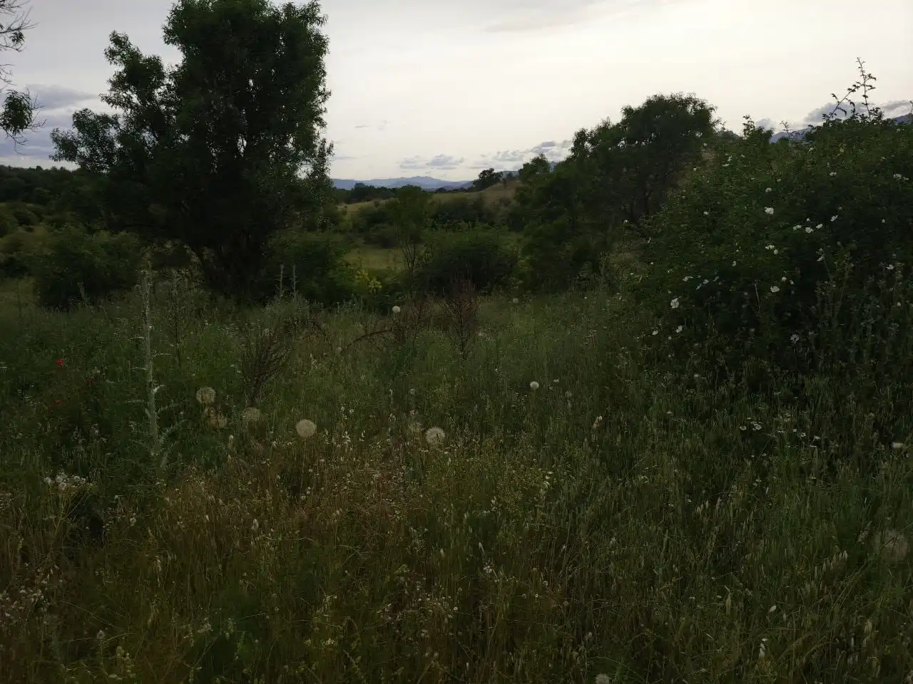 Rural land for sale in Camino del Valle 90, imagen 4