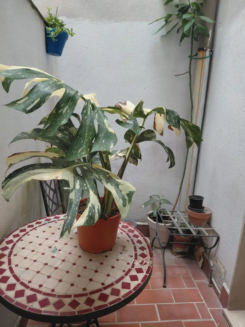 Casa a schiera in vendita a Sur, imagen 16