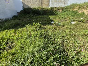 Terreny residencial en venda a Arcos de la Frontera