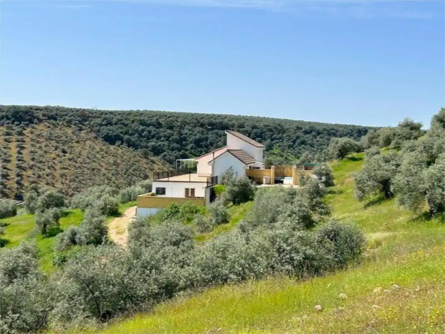 Vista exterior de Pis en venda en Montoro amb Aire condicionat, Jardí privat i Traster