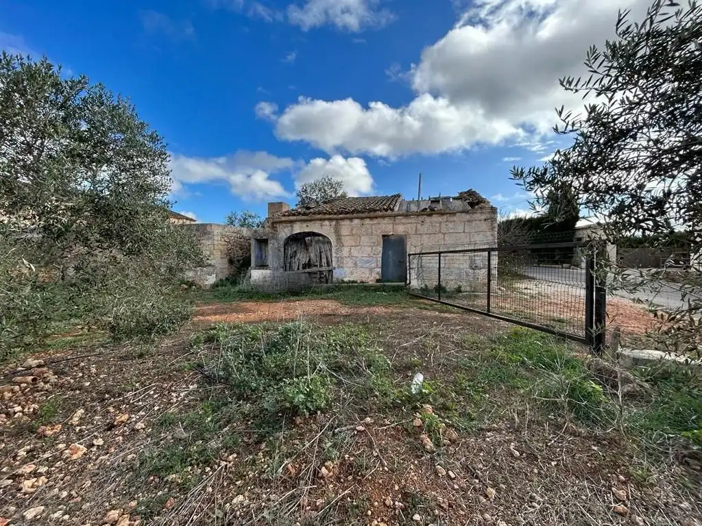Rural land for sale in Sa Pobla, imagen 2