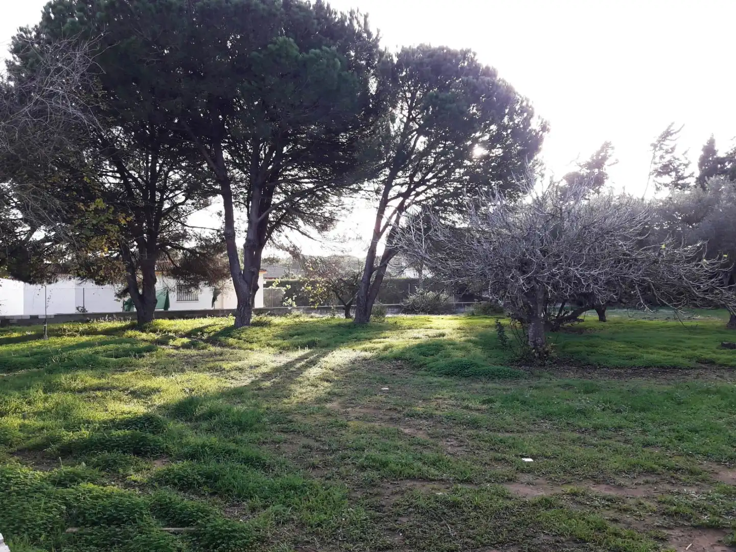Houses for sale in Chiclana de la Frontera  with Private garden, Terrace and Furnished