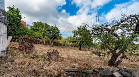 Foto 5 de Casa o xalet en venda a Calle del Pino, 60, La Victoria de Acentejo, Santa Cruz de Tenerife