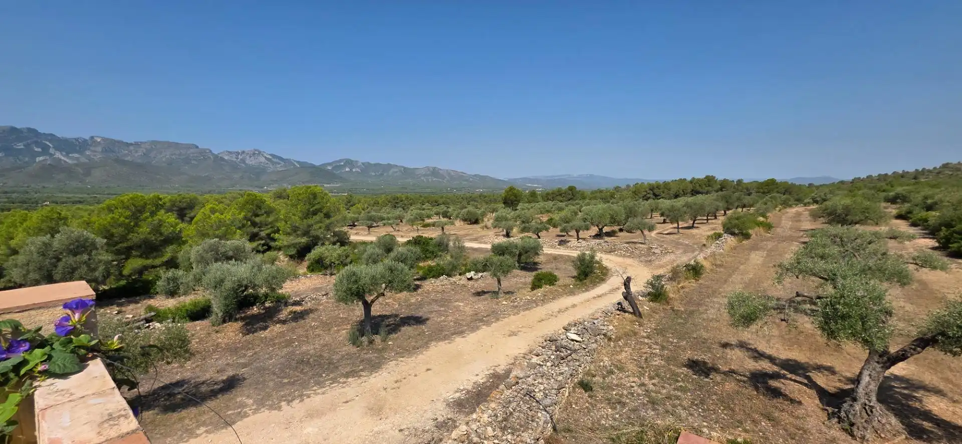 Casa rústica con piscina en venta en Tivissa, imagen 83