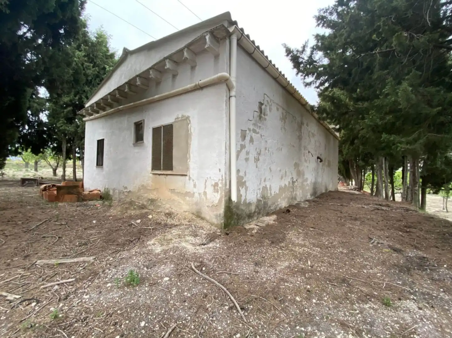 Vista exterior de Finca rústica en venda en El Palomar, Valencia