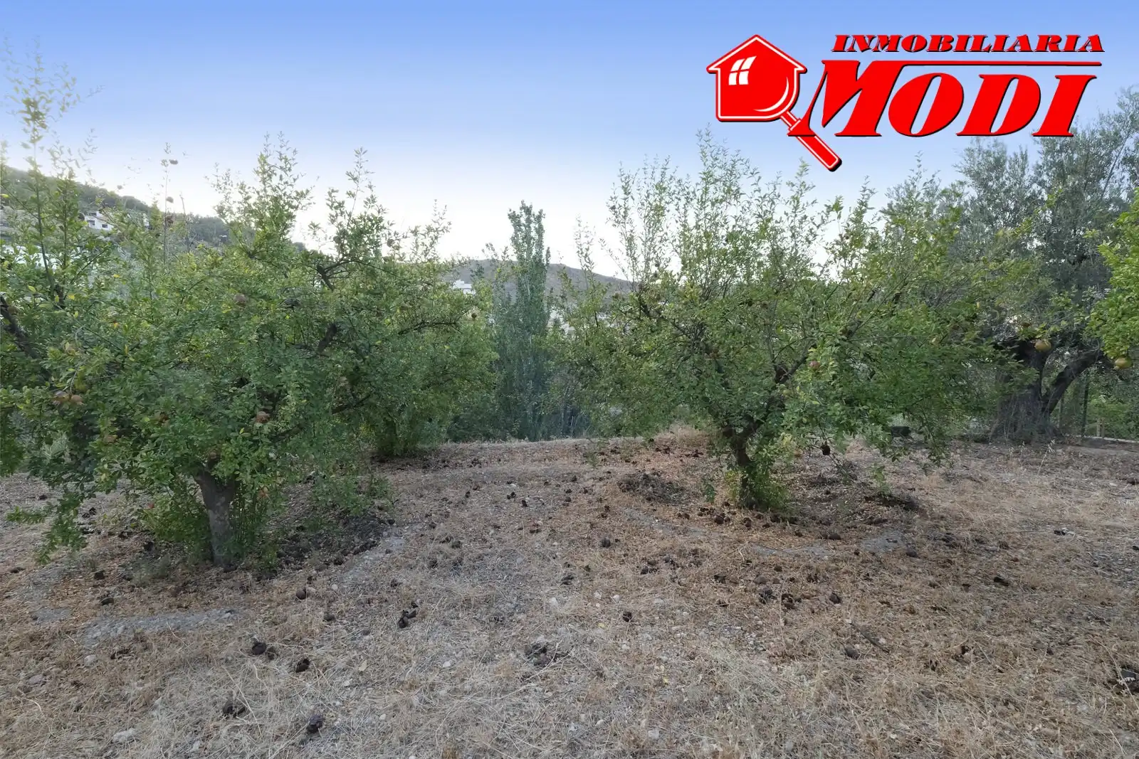 Finca rústica en venta en Villamena con Jardín privado y Terraza