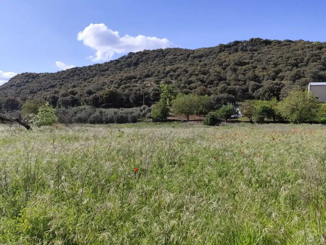 Terrenys i solars en venda a Travesía Tercia 76, imagen 4