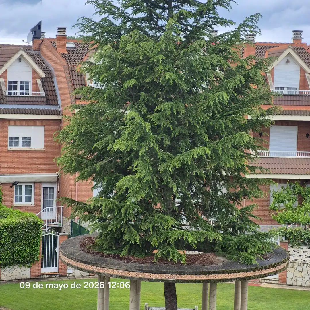 Vista exterior de Casa o xalet en venda en San Andrés del Rabanedo amb Calefacció, Jardí privat i Parquet