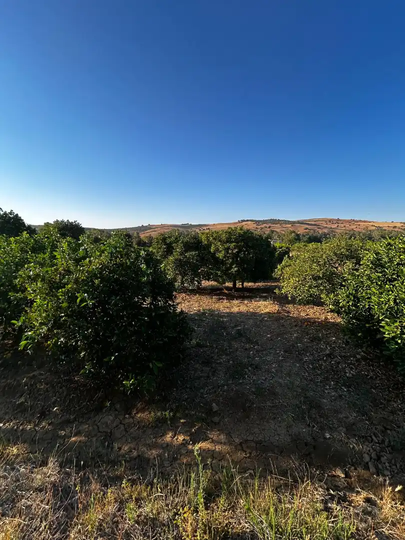 Terrenys i solars en venda a Coín, imagen 12