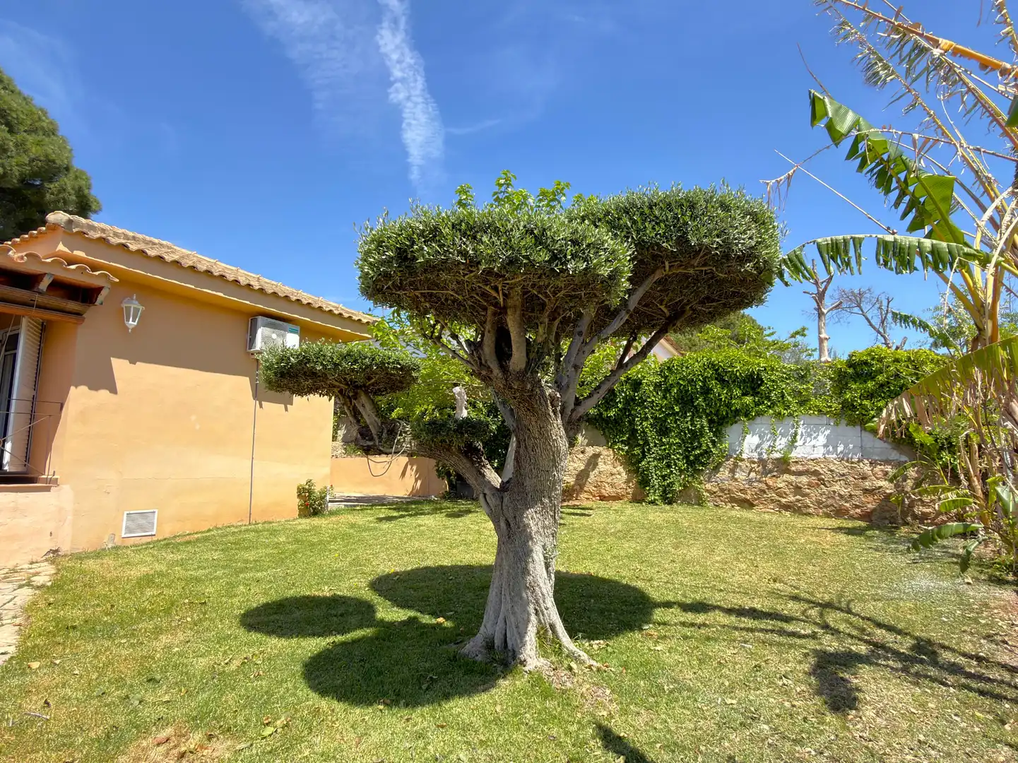 Garden of Houses for sale in Náquera  with Heating, Private garden and Parquet flooring