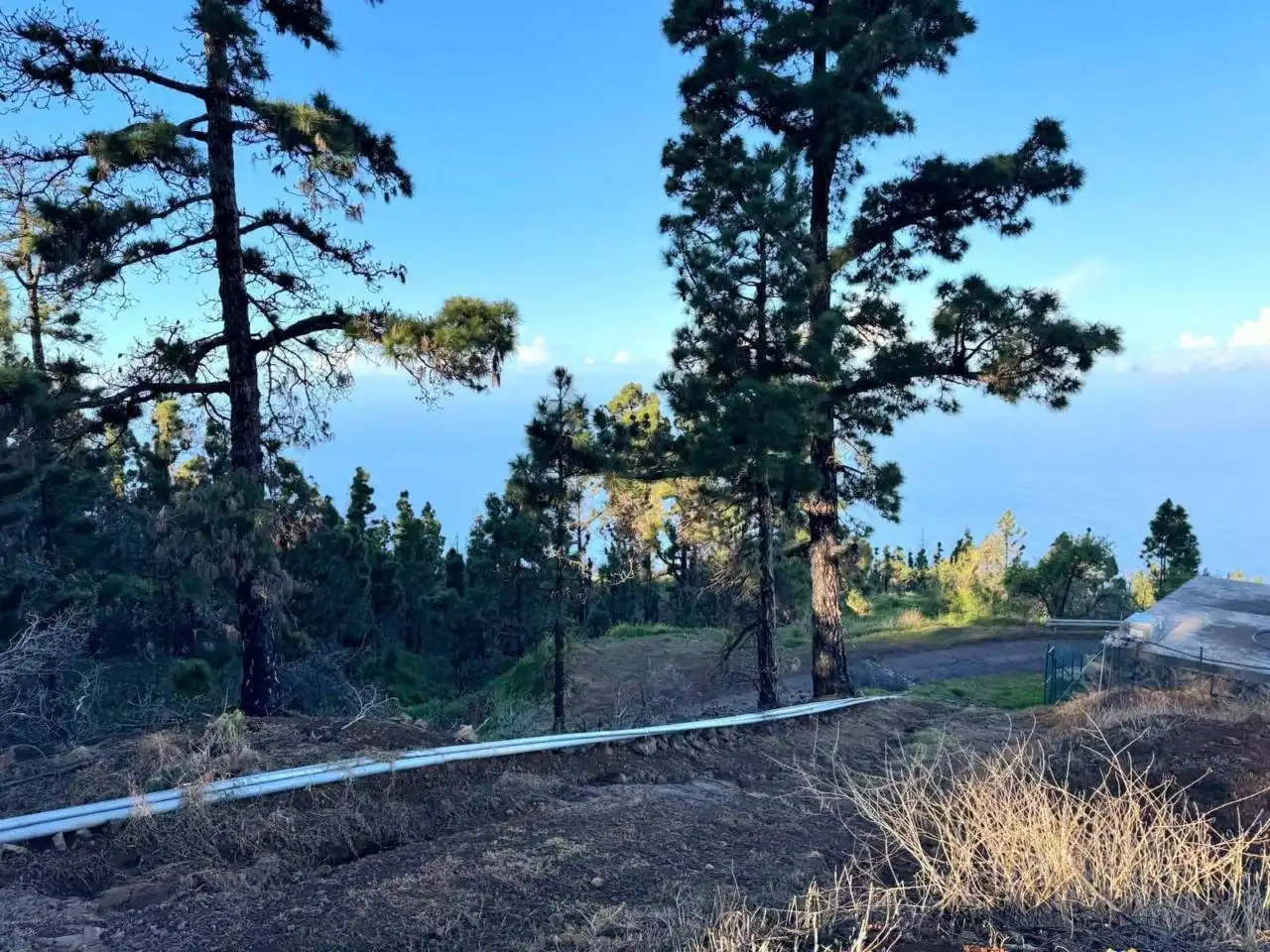 Rural land for sale in N/A, imagen 5