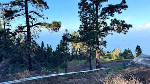 Foto 5 de Terreno en venta en N/a, Tijarafe, Santa Cruz de Tenerife