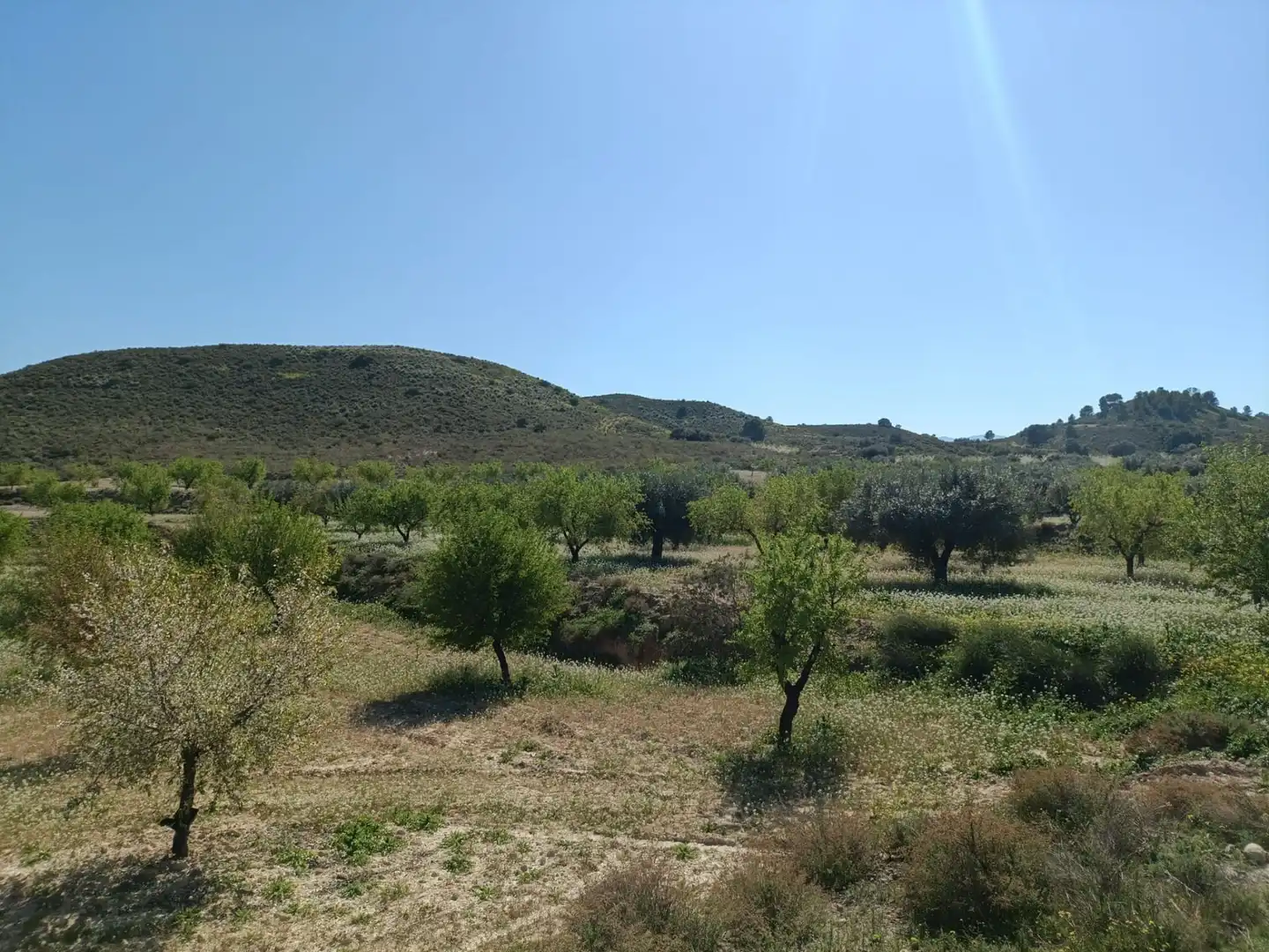 Terrenos y solares en venta en Pedanías Oeste