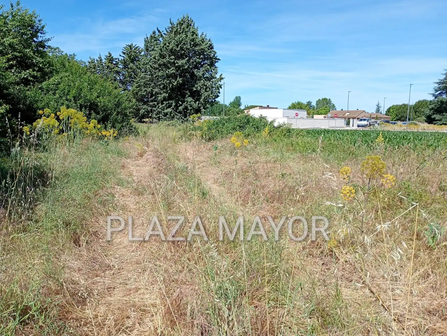 Terreno rustico in vendita a Pelabravo, imagen 3