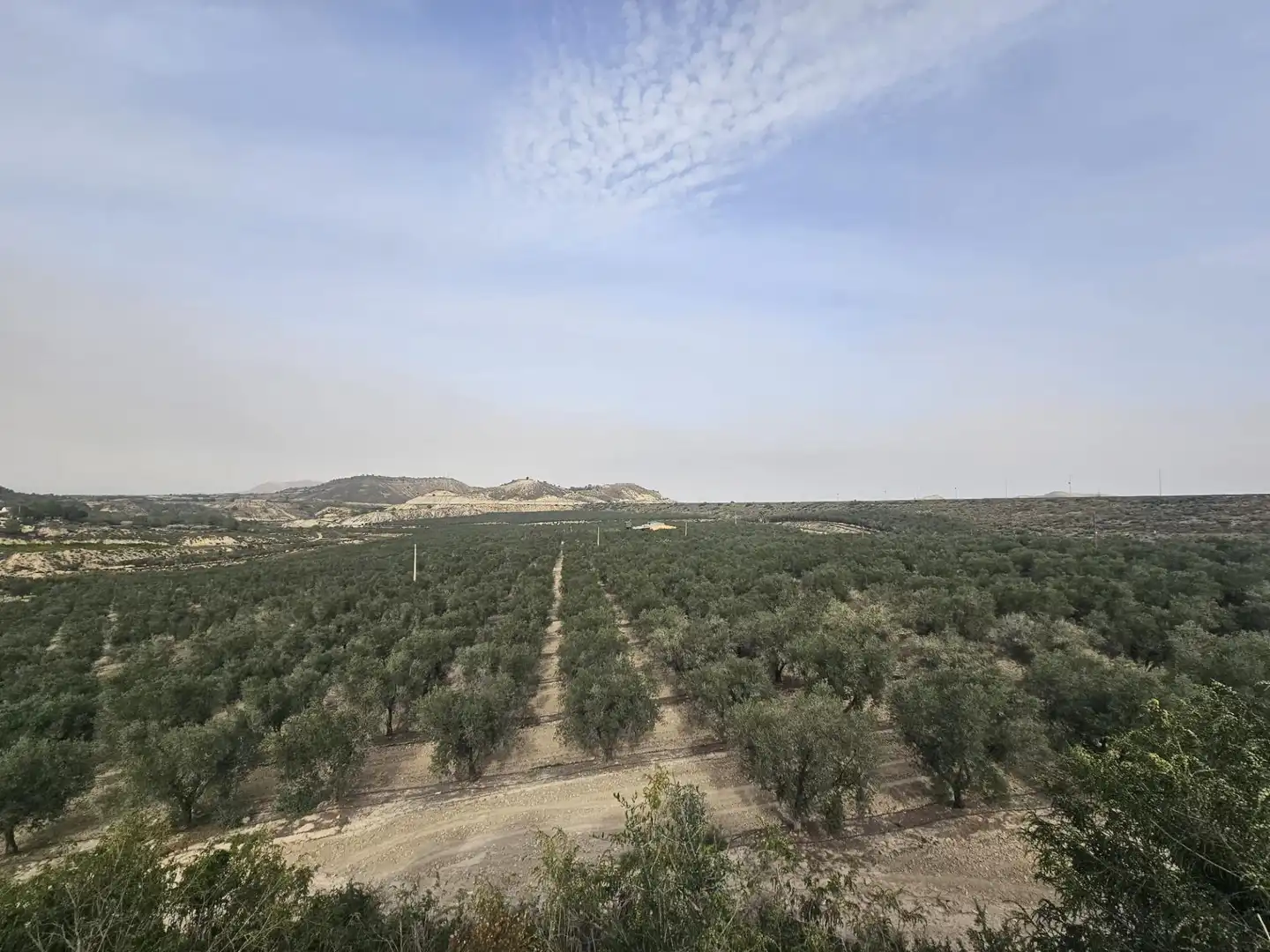 Rural land for sale in Desamparados - Hurchillo - Torremendo, imagen 5