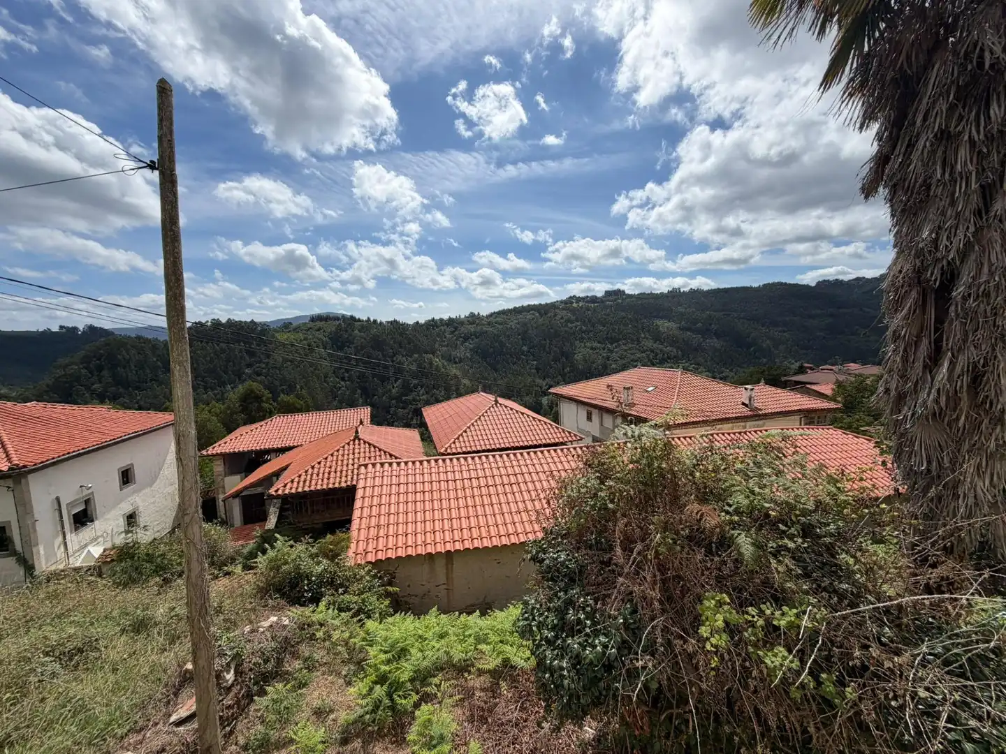 Casa rustica in vendita a Salas, imagen 13