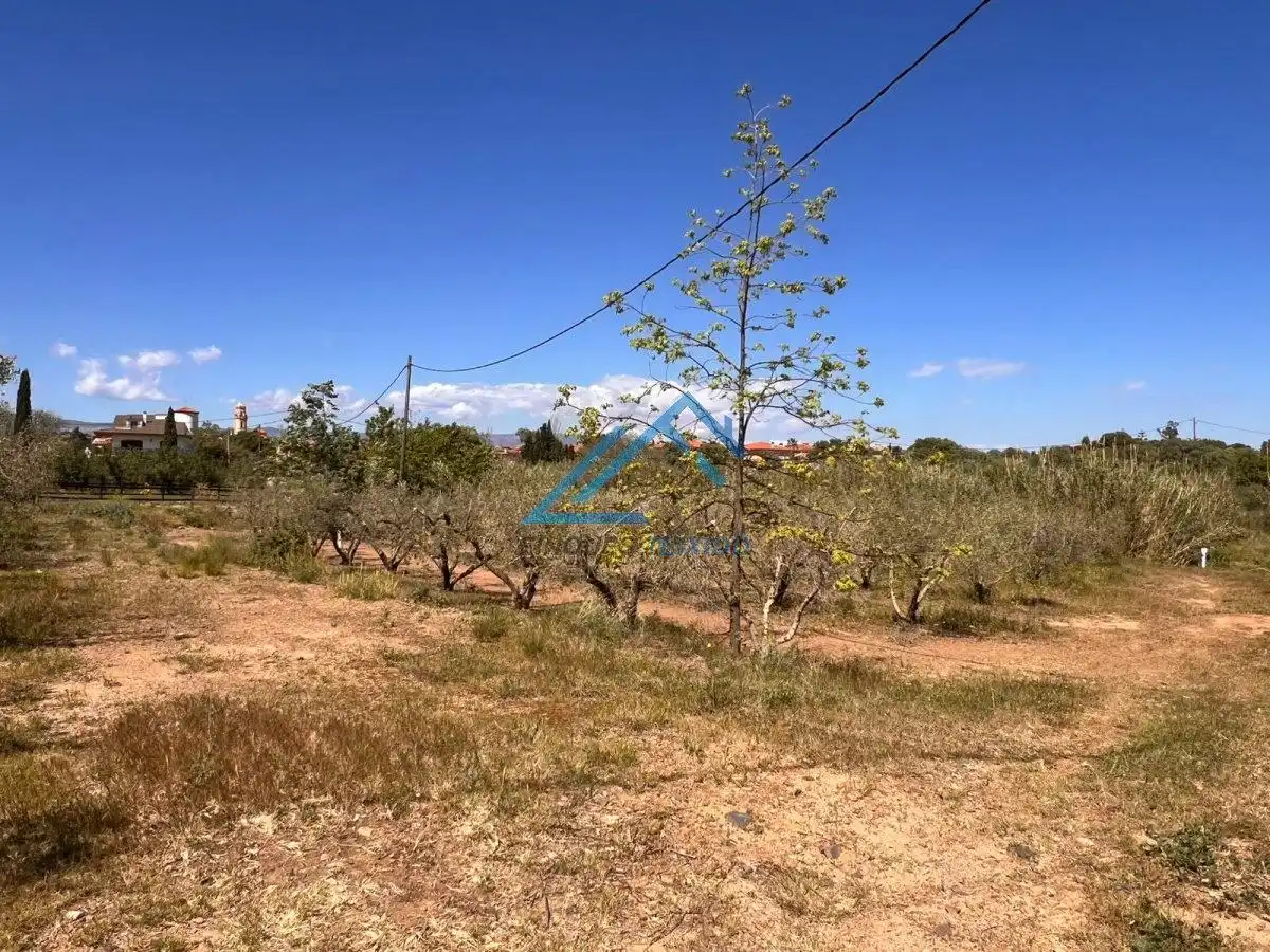 Land for sale in Vinyols i els Arcs