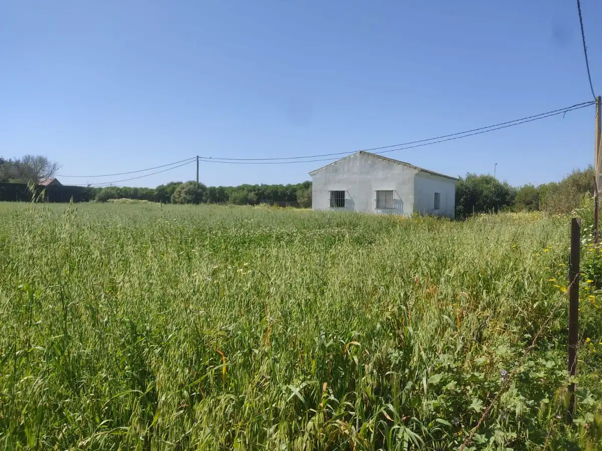 Parc. Rúst. en venta en El Palmar., imatge 3
