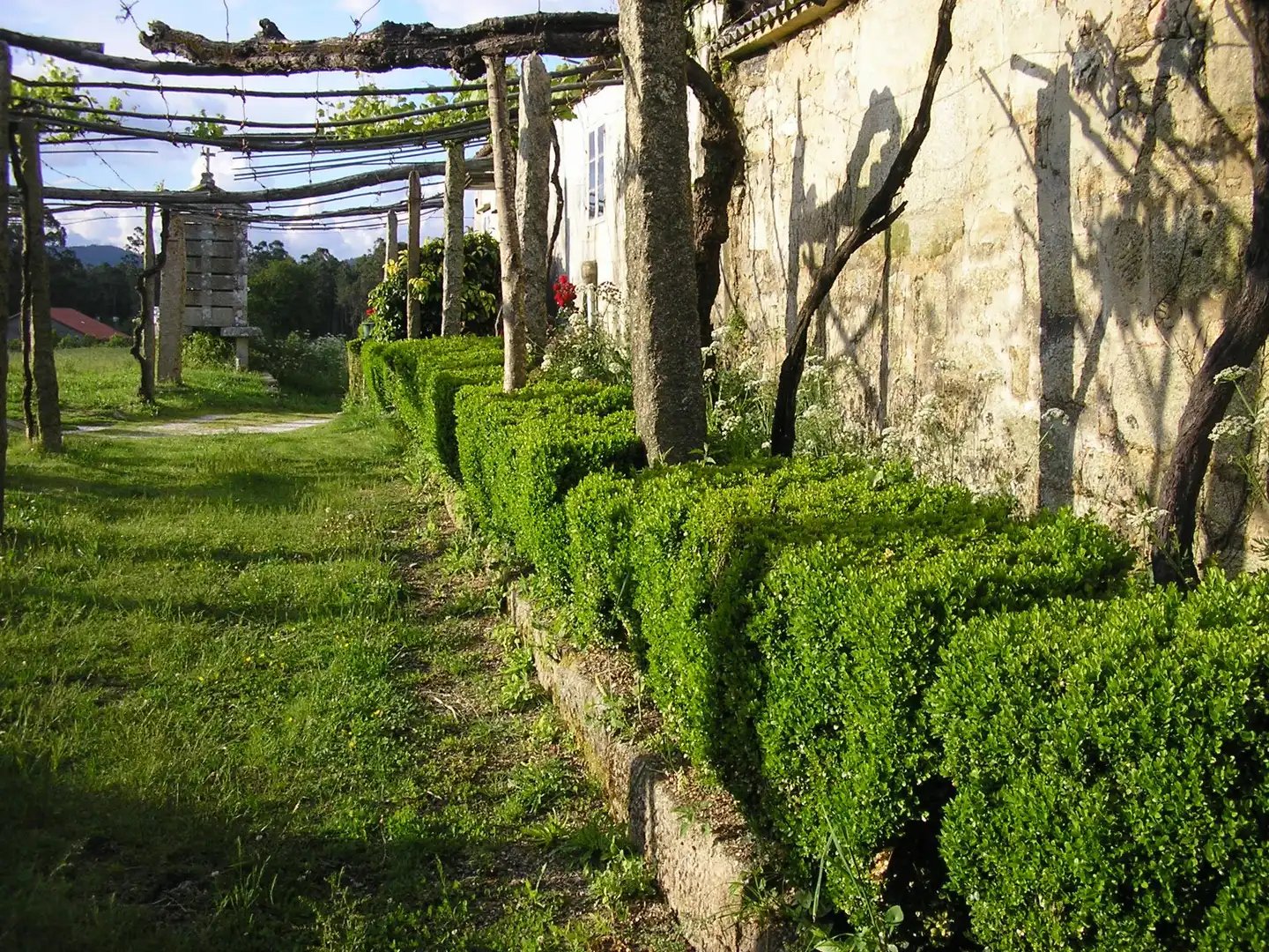 Jardí de Casa o xalet en venda en Boiro