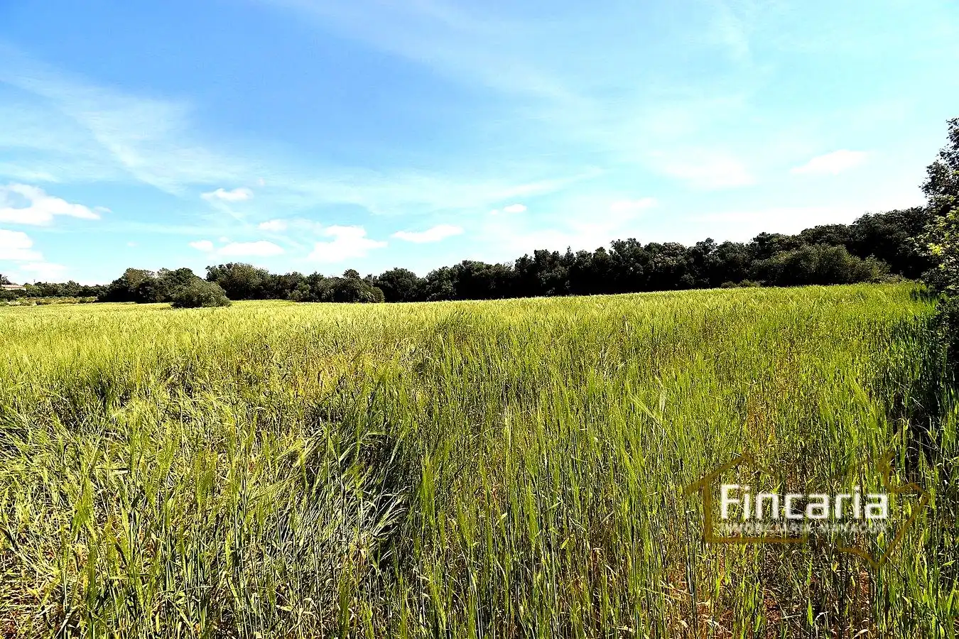 Lands and plots for sale in Ma-5120, imagen 16