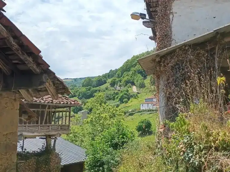 Vista exterior de Finca rústica en venda en Tineo