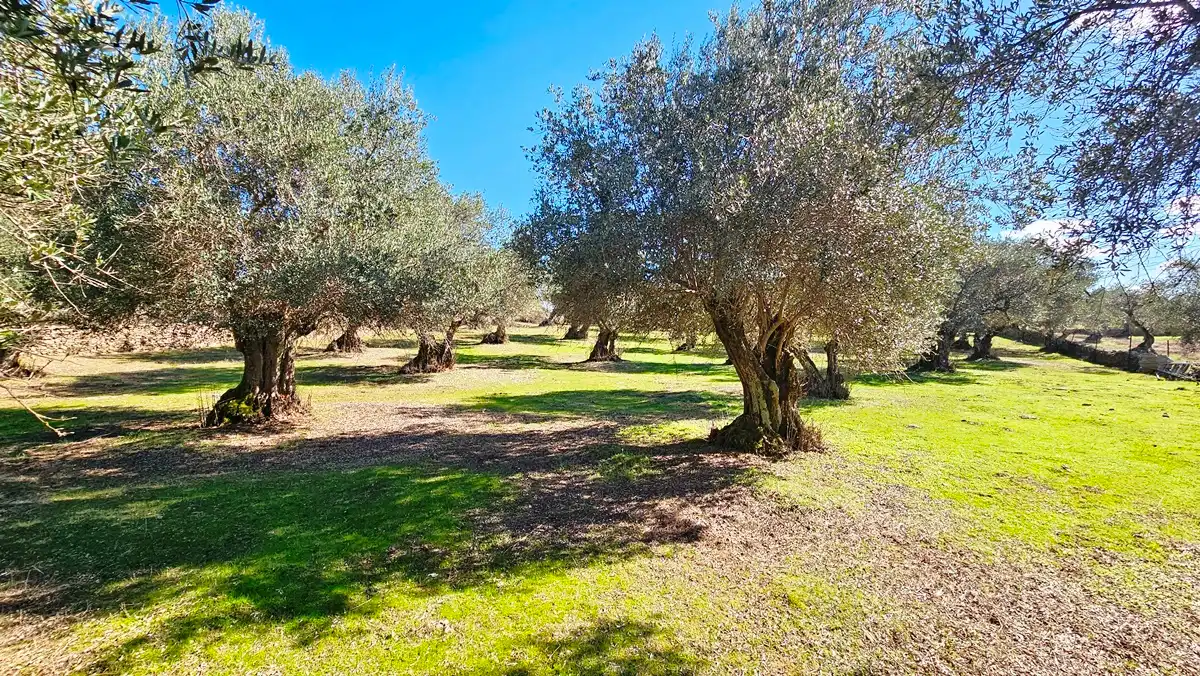 Casa rústica amb jardí en venda a Aracena, imagen 23