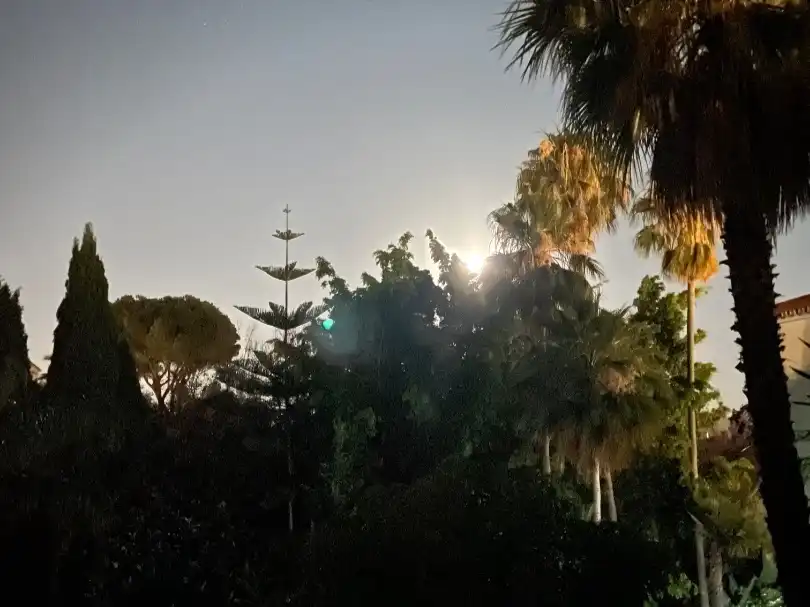 Xalet amb piscina de lloguer a Urbanización el Rosario 341, imagen 7