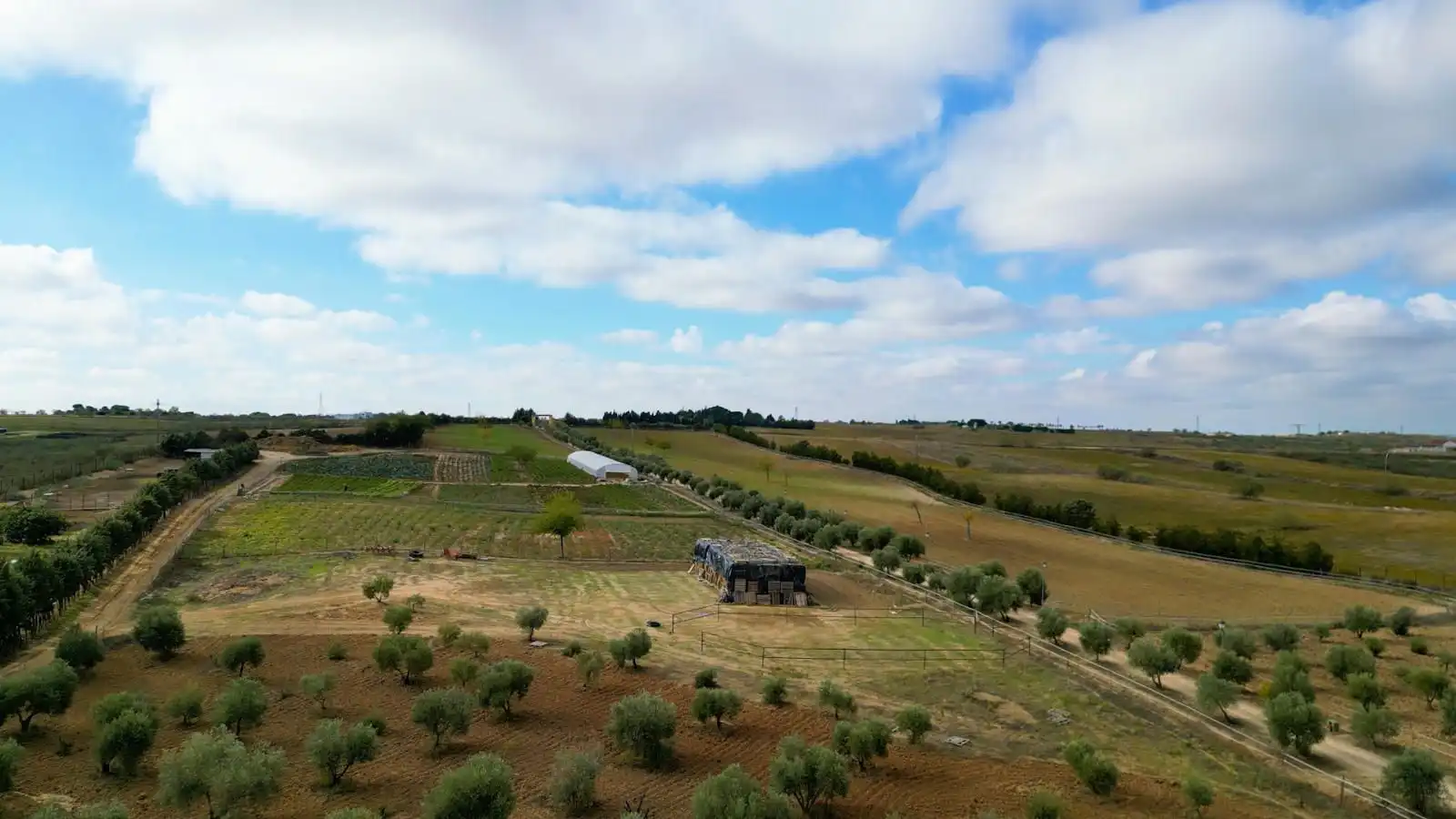 Grundstücke zum Verkauf in Olivares, Batres