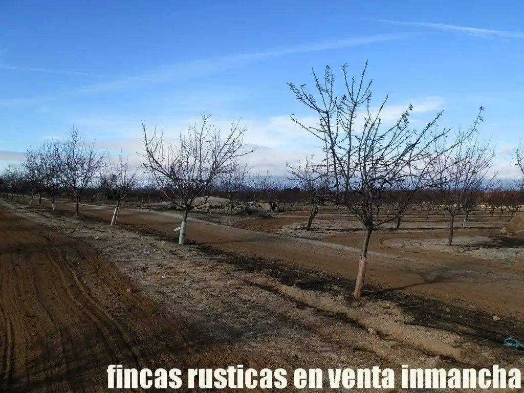 Terreno en venta en Mora