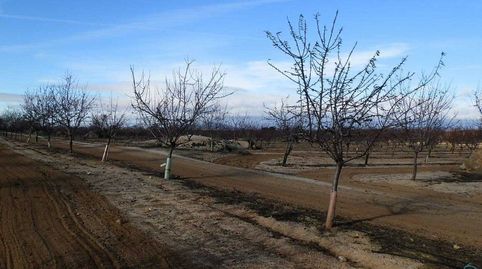 finca en venta almendros olivar viña regadío en Toledo, immagine 3