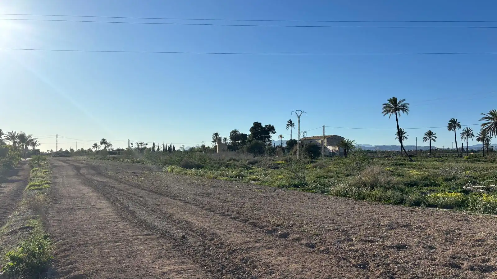 Grundstücke zum Verkauf in Elche / Elx